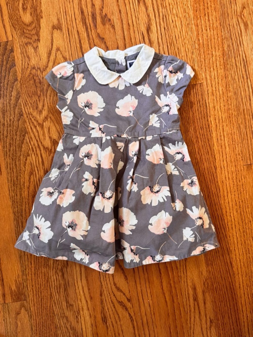 Janie and Jack Toddler Special Occasion Gray Floral Dress, Peter Pan Collar